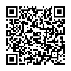 但是在陈小练和罗迪这两个身体强化过的b级素质的人面前二维码生成