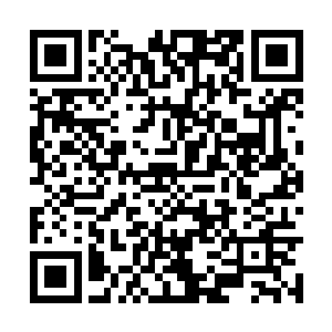 但是在龙傲天的心中最可恨的赫然是眼前的刘天河二维码生成