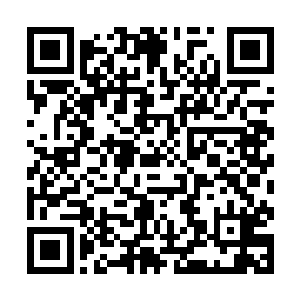 但是在20年前我发现那一个人早就因为年龄的问题二维码生成