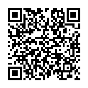 但是地点则被放在了杜家拍卖行包下的江河路酒楼街中二维码生成