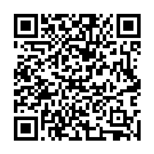 但是场上发生的这一幕让他的声音也跟着高了起来二维码生成