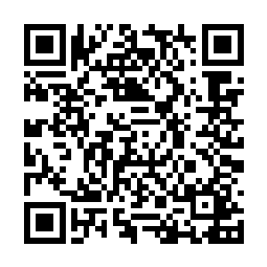 但是基本上可以断定杨晓芸的妹妹究竟患了什么病二维码生成