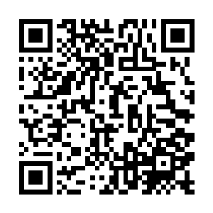 但是墨家军的气势和阵容比起前几日却是空前的强大二维码生成