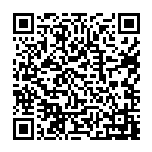 但是墨景黎从未有现在这一刻那样强烈的希望这世上从来就没有过墨修尧这个人二维码生成