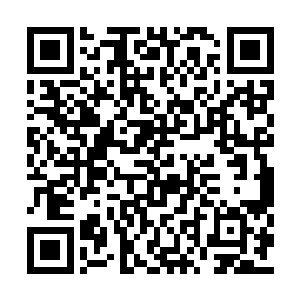 但是夏天就这样用脚将巨木和碎石硬生生的踹飞二维码生成