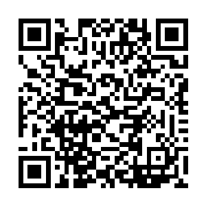 但是外形上却几乎跟一般的蜈蚣完全没有相似的地方二维码生成