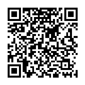 但是外面走廊里那气势汹汹的脚步声只要不是聋子都听得到二维码生成