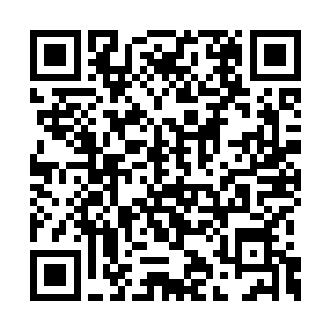 但是多年盗墓生涯的侯九却是知道掌眼的重要性二维码生成
