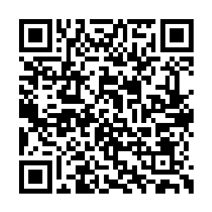 但是大多数人对努曼人的后裔还是抱有怀疑态度二维码生成