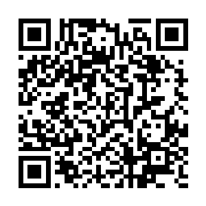 但是大家也都希望古灵能够撕下来一点五小姐的衣服二维码生成
