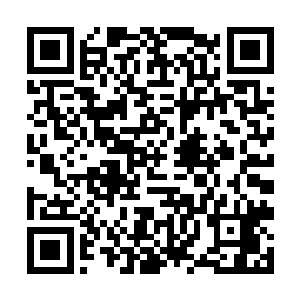 但是大家的目光几乎全都集中在夏天和丹灵子的身上二维码生成