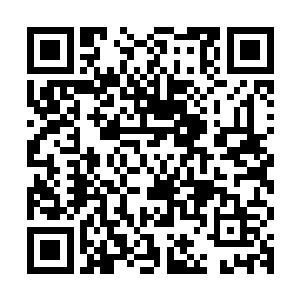 但是大家看到小落分队的队员们一个个高高兴兴的上去捧回福利二维码生成