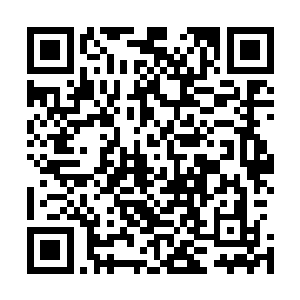 但是大家还是希望能够通过正常的食物来补充着自己的能量二维码生成