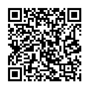 但是大师兄和小师妹还有新入门的两个师弟还没有来二维码生成