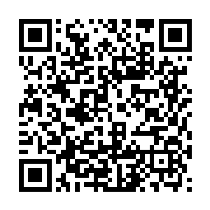 但是大帝始终是需要一个借口对垂天之叶出兵……二维码生成