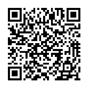 但是大管家上手之后又感觉有那么一些不太对劲二维码生成