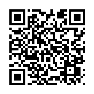 但是大象就有那么一些不太一样了二维码生成