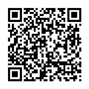 但是大长老对她行了堕民之中至高无上的王者之礼二维码生成