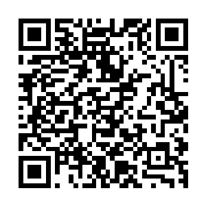 但是天下之大真的要找一两个能和她媲美的女子也未必找不到二维码生成