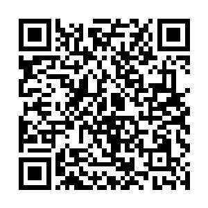 但是天圣宗天机派等门派在神界中也是存在了无数年二维码生成