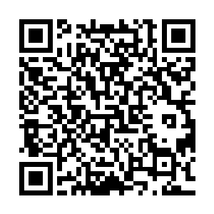 但是天道依旧能清楚的看到她此时此刻脸上的那一抹气恼和红晕二维码生成