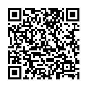 但是奈何丁羽这个家伙实在是有那么一些太滑不留手二维码生成