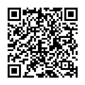 但是奴婢没有将夫人此次筹谋的事情透露哪怕一分一毫二维码生成