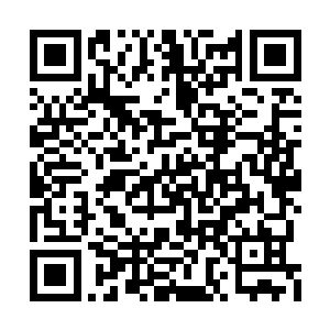但是她们俩都没想到苏燕青会带着孩子来宋州了二维码生成