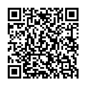 但是她再恨墨景祈将自己嫁到北戎却也还是大楚皇室的人二维码生成