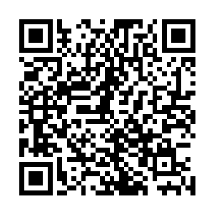 但是她却是依旧还是会参加一些所谓上流社会所举办的酒会二维码生成