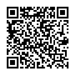 但是她发现自己似乎从来都没有看透过这个十四岁的少年二维码生成