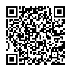 但是她受不了那种你好我就一定比你更好的氛围二维码生成