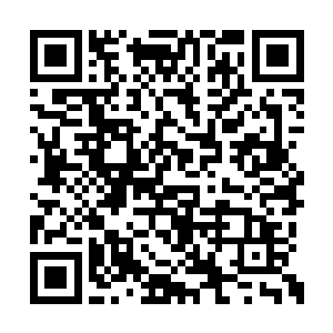 但是她可以肯定的是那家伙一定还没有回到王城二维码生成