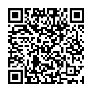 但是她固执的把这一切归结于自己对花无轩的依赖二维码生成