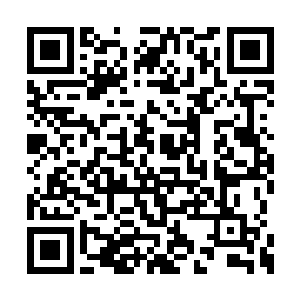 但是她当初能够选择毅然决然地出国这样一条路二维码生成