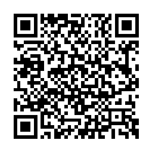 但是她没想到炒完出来的东西居然是这个样子的二维码生成