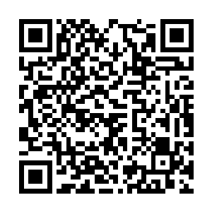 但是她的感知依然没能找到在世界树庇佑下的马文二维码生成