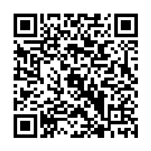 但是她相信以他们的修为一定能够循着空间波动追过来二维码生成
