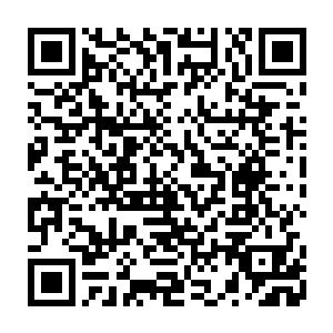 但是她看到今天夏天的举动终于明白为什么那些女人都爱追求这些虚荣的东西了二维码生成