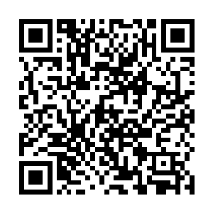 但是她看眼前这个瘦高的年轻猎手的鼻子和眼睛都很像二维码生成