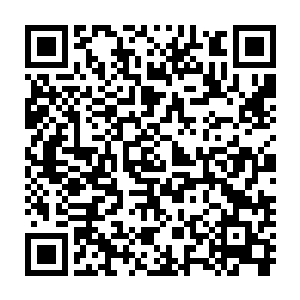 但是她身上的大笔仙晶可是和琴瑟色一起从师丝桐手里弄出来的~二维码生成