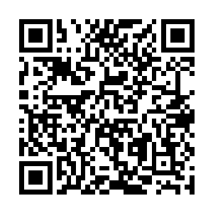 但是她那圣级三层的强悍身体还是抵挡了这一次撞击二维码生成