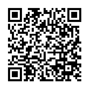 但是如今的沐扬…却是比文臣更会阿谀奉承专营权势二维码生成