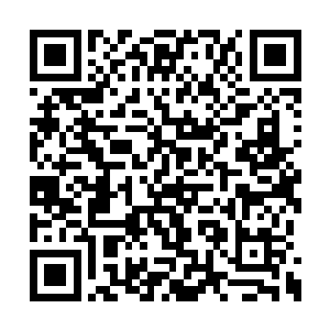 但是如今看到许紫烟的修为正在不断地逼近他们二维码生成