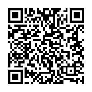 但是如今还有着唐不器和符文这两个紫级三级的高手二维码生成