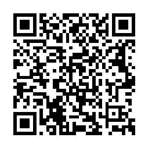 但是如果自己把莫小鱼的入境时间告诉了陈志河二维码生成