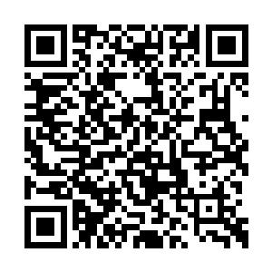 但是如果这两大职业者中出现了传奇级别的高手二维码生成