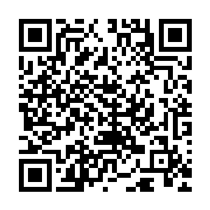 但是孙子轩后面那句话对于一头立志幻化成为人形的仙兽来说二维码生成