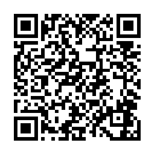 但是学校里再优秀在现今如此激烈的竞争中博得一席之地二维码生成