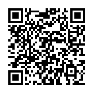 但是它之前动用那一招已经是耗费了太大的力量二维码生成